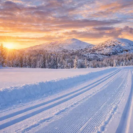 Smie Pa Sjarmerende Og Historisk Gard * Baukal